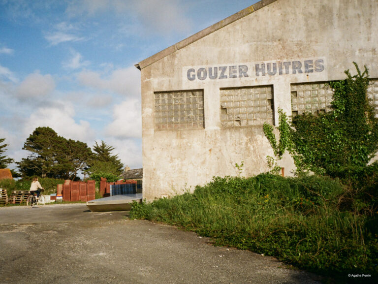 Carnac et crustacés